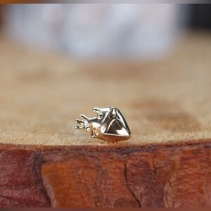14k yellow solid gold Anatomical heart press fit end earring